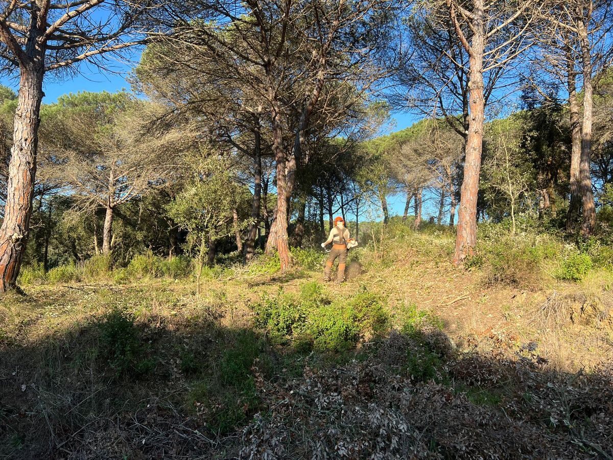 Operari amb desbrossadora treballant en parcel·la forestal a Blanes