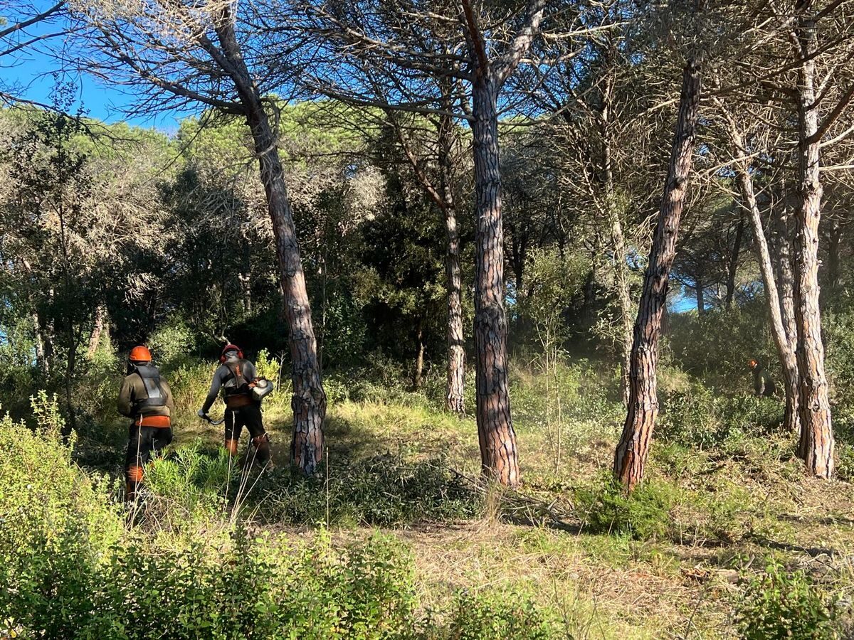 Equip de desbrossament forestal actuant en zona boscosa a Blanes