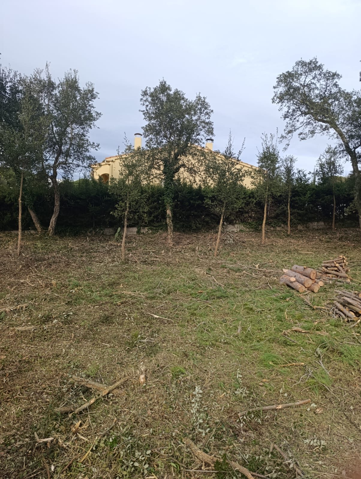 Desbroce de parcelas en Caldes de Malavella