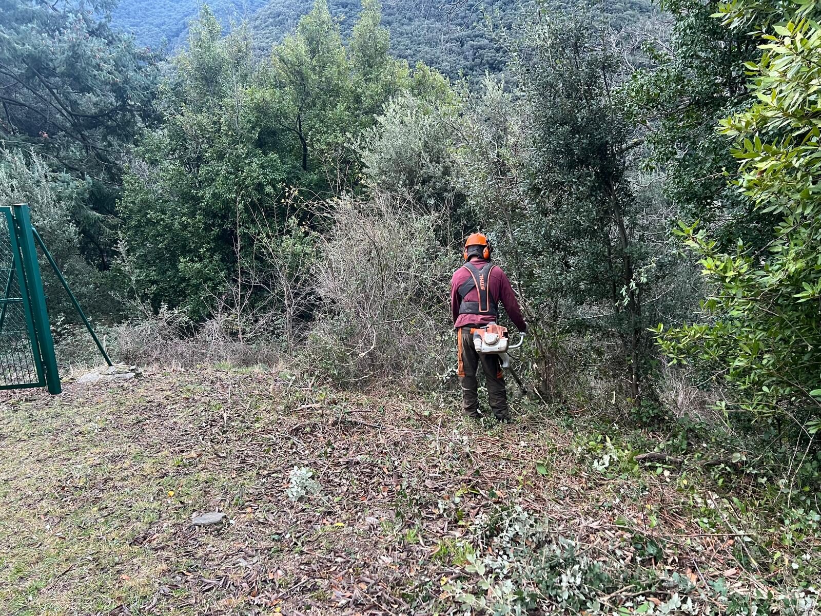 Trabajo real de limpieza de parcela de Desbroce Montseny