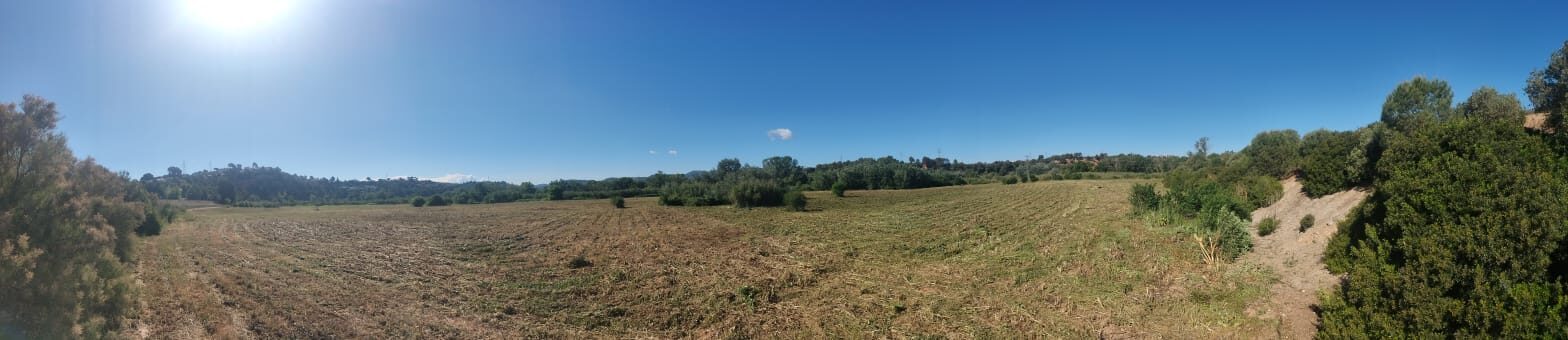 Desbroce con tractor de finca grande en Abrera