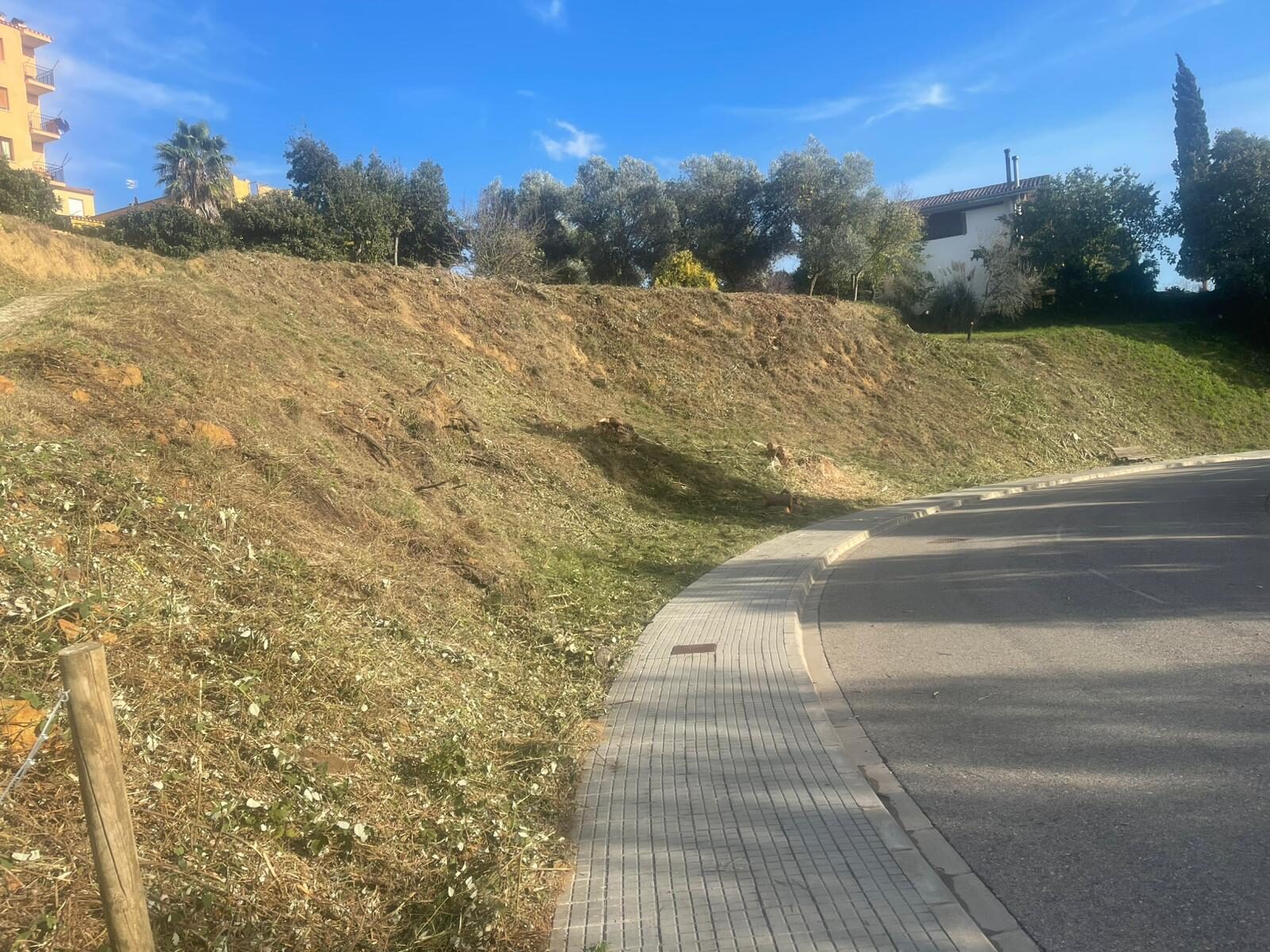 Desbroce de parcelas en Maçanet de la Selva