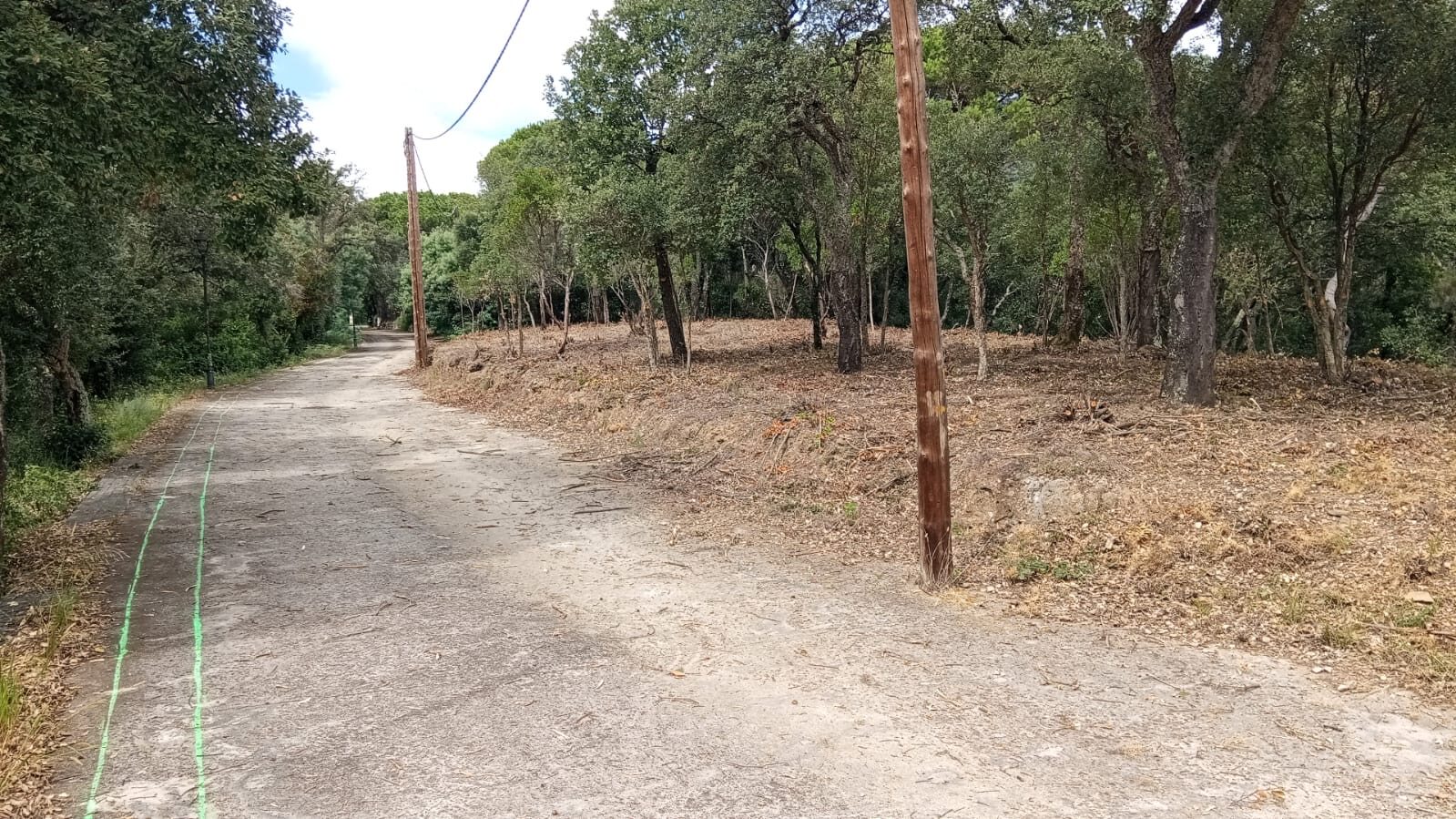 Desbroce de parcelas en Campins