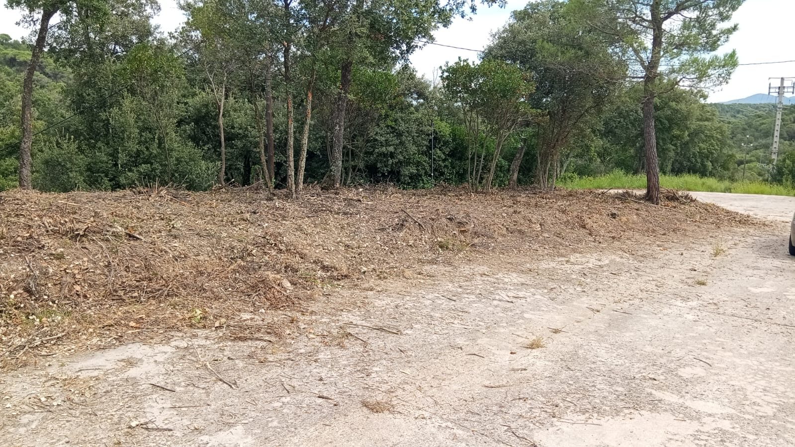 Parcela urbanizable limpia en Campins
