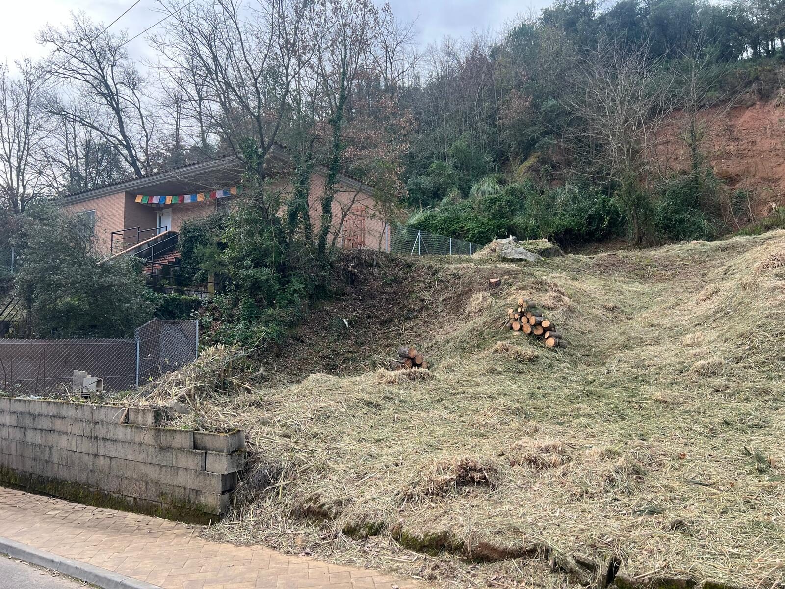 Limpieza de parcelas en Riells i Viabrea