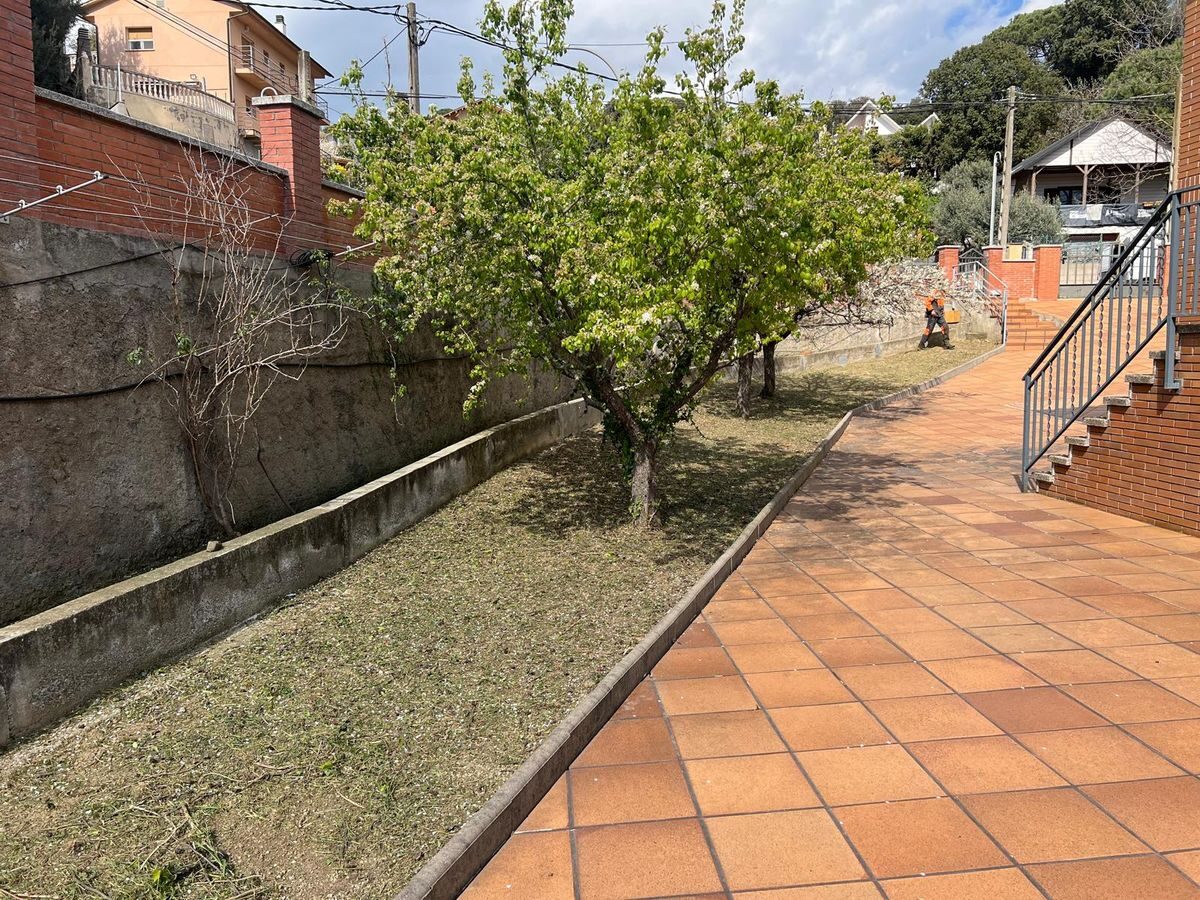 Operario desbrozando jardín en Sant Esteve de Palautordera con frutales