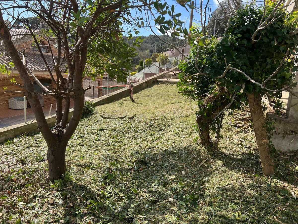 Parcela limpia con árboles en Sant Esteve de Palautordera