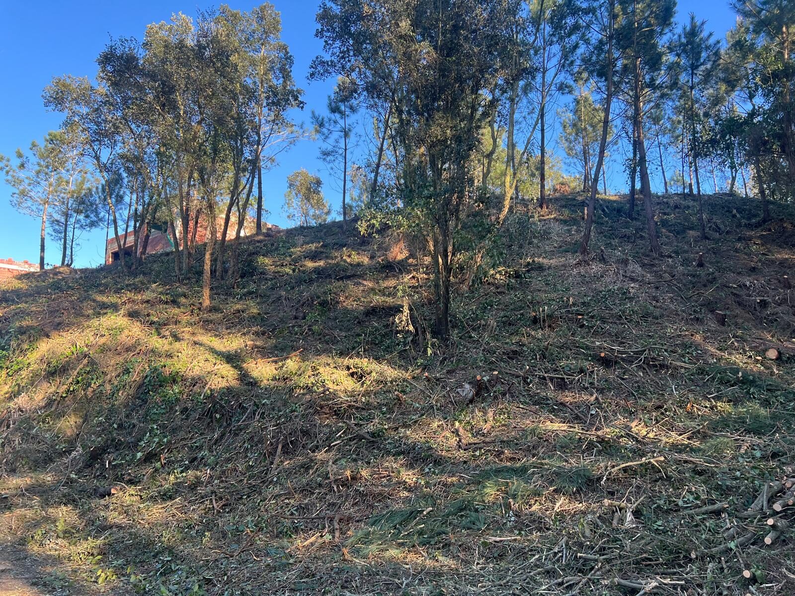 Resultat final del desbrossament de finca a Lloret de Mar, terreny net i funcional