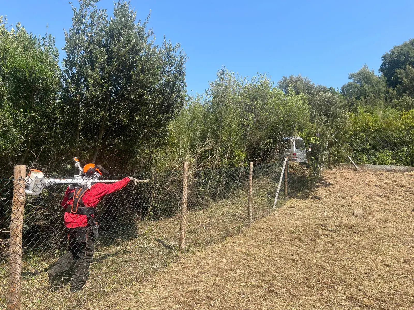 Operarios realizando trabajos de desbroce en Can Carbonell, Vidreres