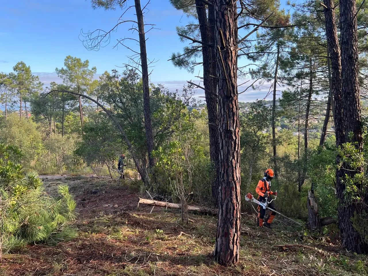 Desbroce de una parcela en Lloret de Mar durante los trabajos del 17 y 18 de septiembre de 2026