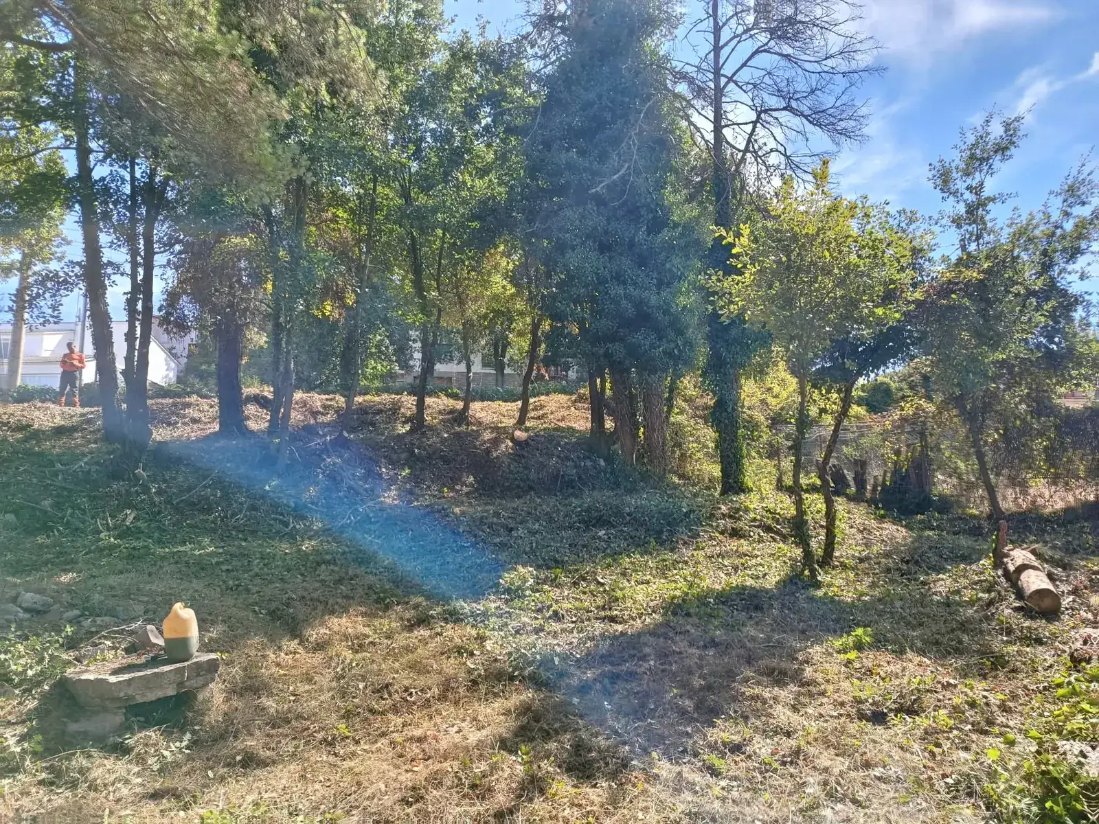 Vista general del terreny de Moià amb la massa vegetal controlada en acabar la feina