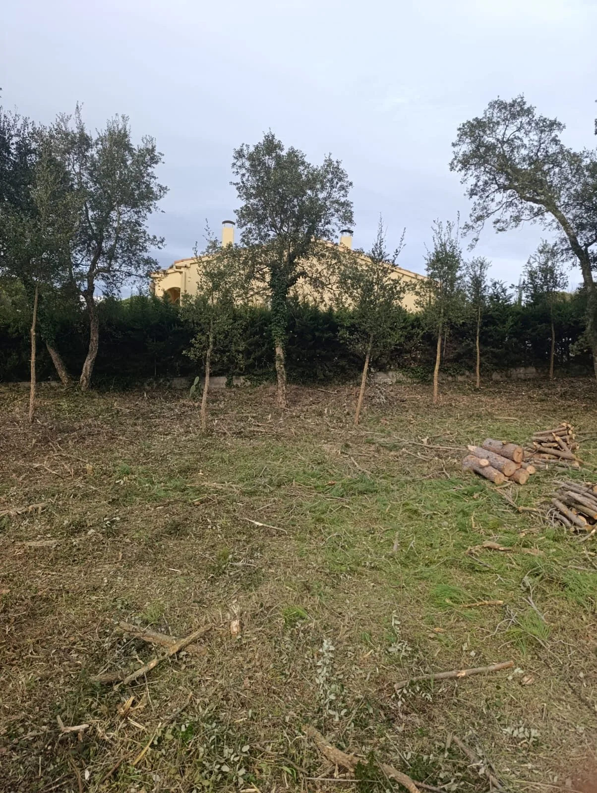 Vista de una parcela de Caldes de Malavella tras retirar la vegetación
