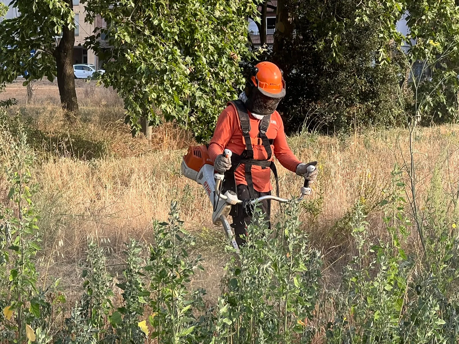 Operario desbrozando vegetación en una parcela de Cardedeu (Vallès Oriental)