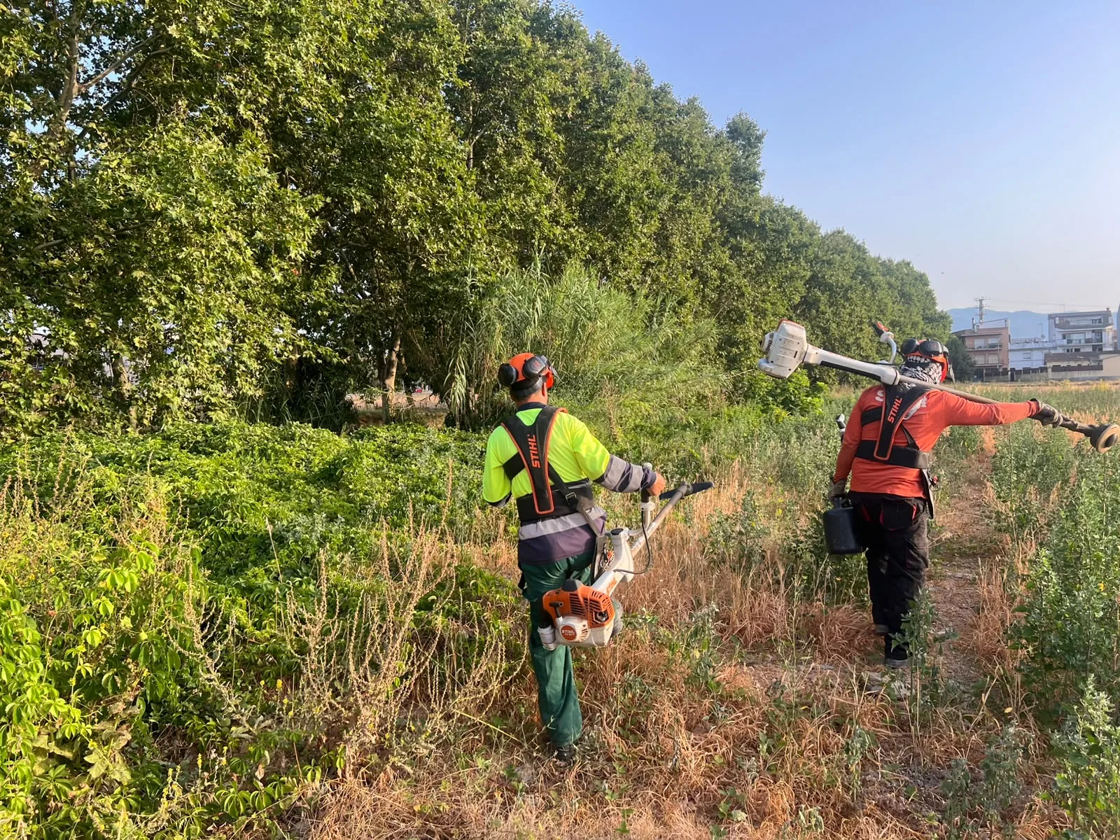 Operarios de Desbroce Montseny con equipo STIHL desbrozando una parcela en Cardedeu · Julio 2026 · Cardedeu (Vallès Oriental)