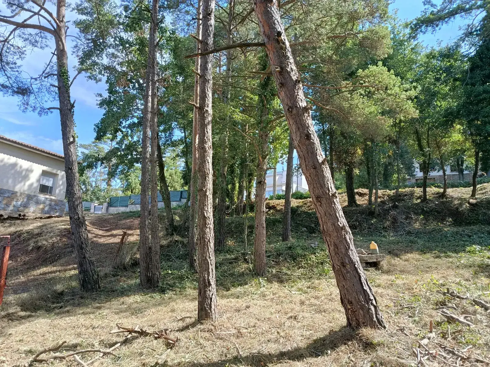 Desbroces y trabajos forestales en la comarca de Moianès