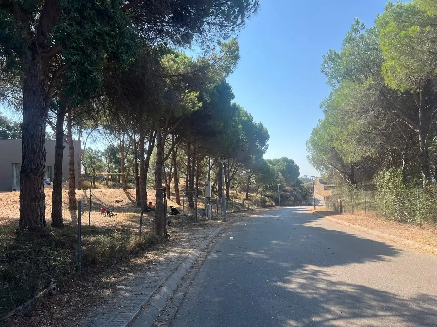 Parcela con pinada junto a una calle residencial de Sant Antoni de Calonge antes de la limpieza