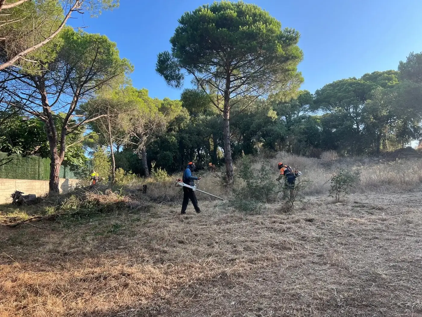 Desbroce de parcelas en Sant Antoni de Calonge