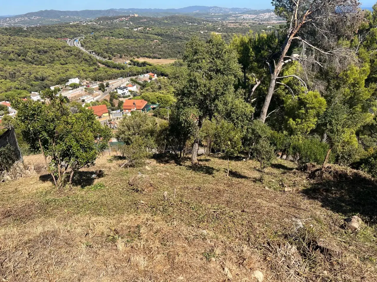 Parcela desbrozada en un trabajo realizado en Sant Genís de Palafolls