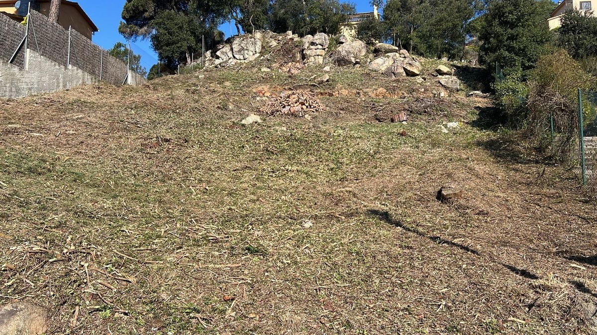 Desbroces y trabajos forestales en la comarca de Maresme