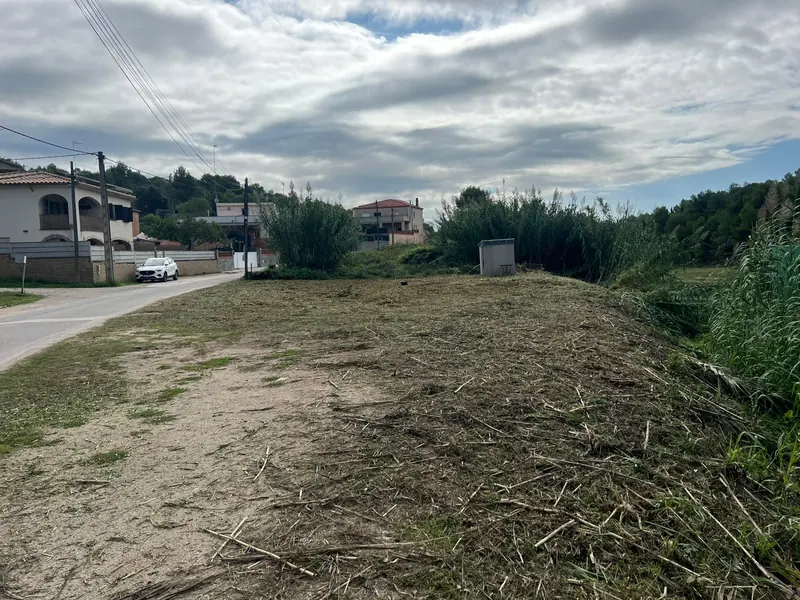 Desbroces y trabajos forestales en la comarca de Anoia