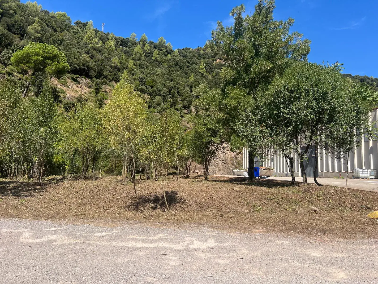Resultado de la limpieza de vegetación junto a la zona industrial de Figaró-Montmany