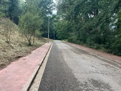 Acera junto al margen forestal desbrozado en Royal Park, Gualba
