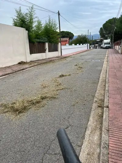 Soplador durante la limpieza de una calle de Royal Park en Gualba