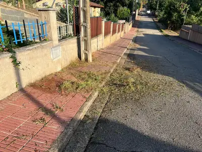Vegetación cortada sobre una acera de Royal Park durante el servicio
