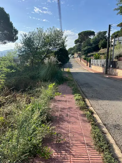 Vegetación junto a una acera de Royal Park en Gualba