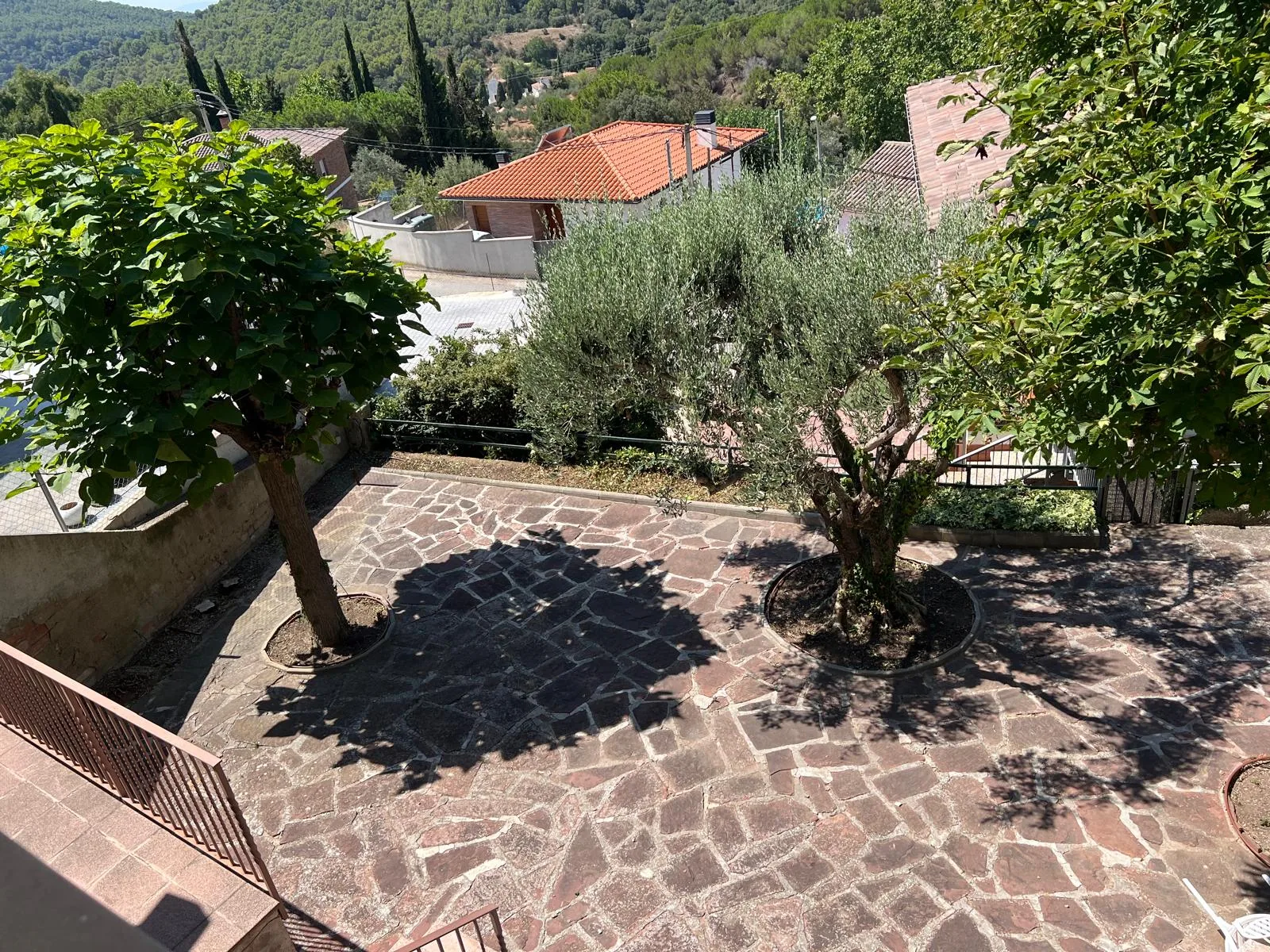 Terraza y olivos podados en un jardín de Sant Feliu de Codines tras los trabajos