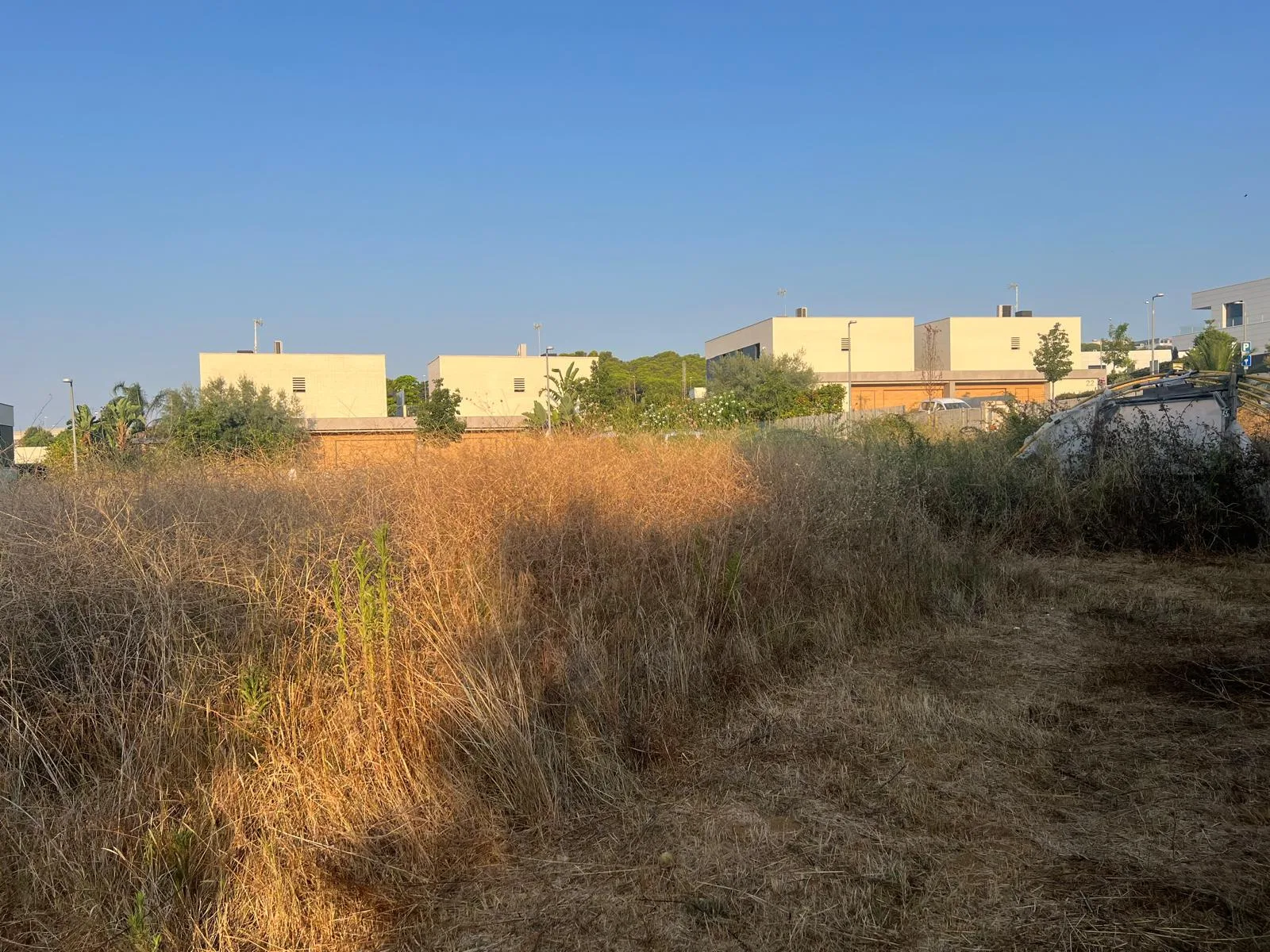 Terreny urbà a Mataró durant els treballs de neteja i desbrossament de vegetació.