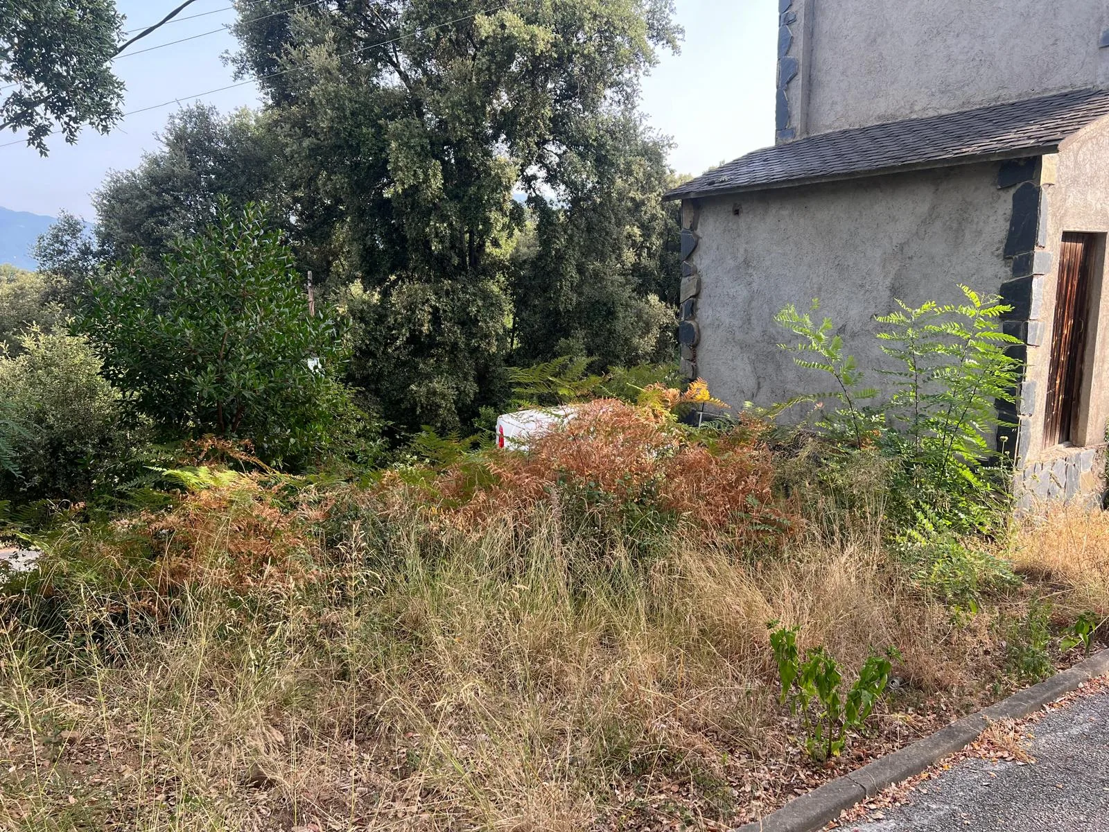Parcela en Cañada Park (Vallgorguina) antes del mantenimiento anual, con vegetación seca y helechos junto a una masía de piedra