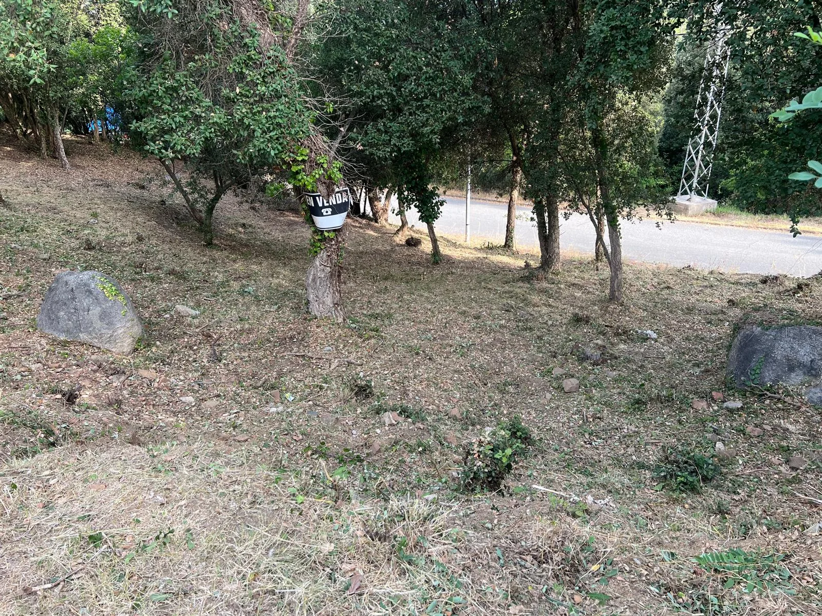 Desbroce de parcelas en Vallgorguina: finca limpia y desbrozada