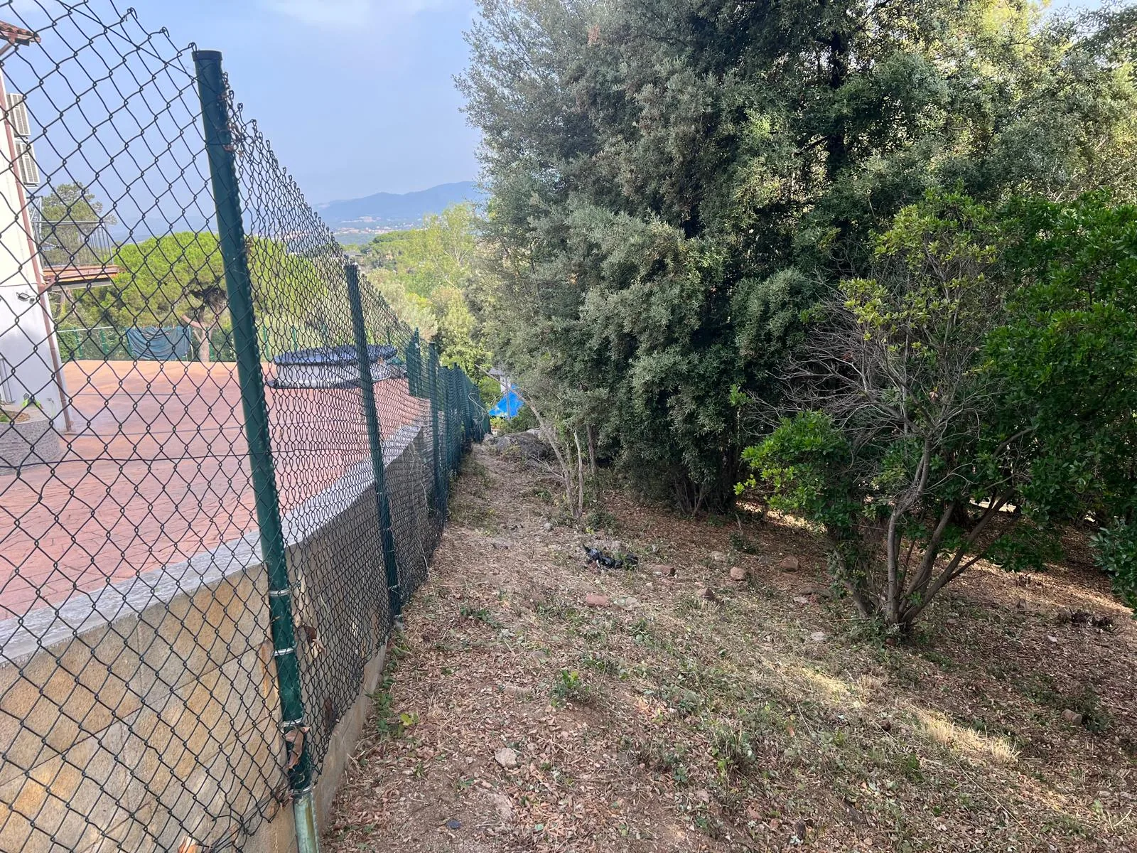 Perímetro de valla desbrozado en Cañada Park (Vallgorguina) tras el mantenimiento anual