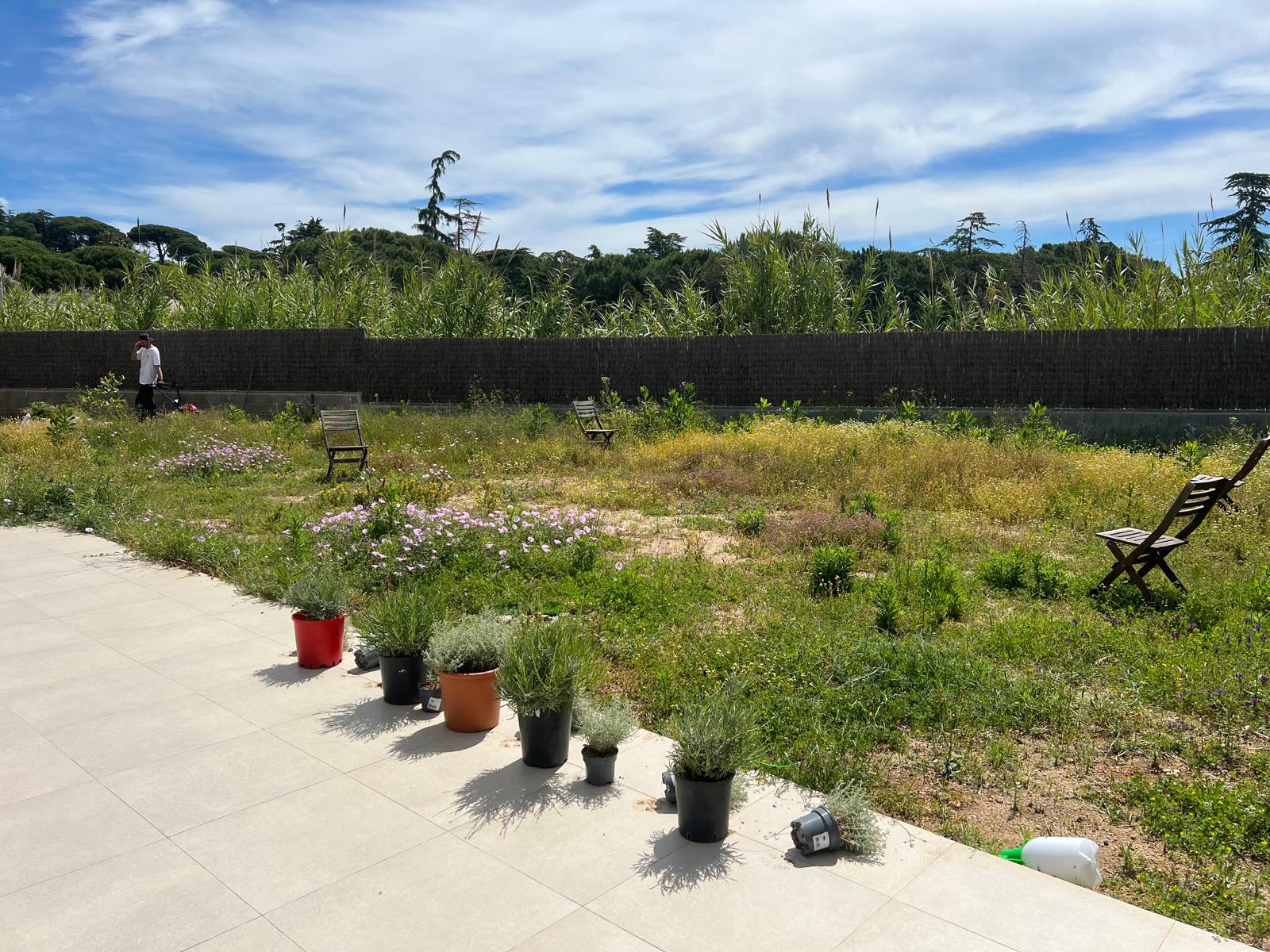 Parcela con vegetación espontánea y hierba alta antes del desbroce en Sant Andreu de Llavaneres