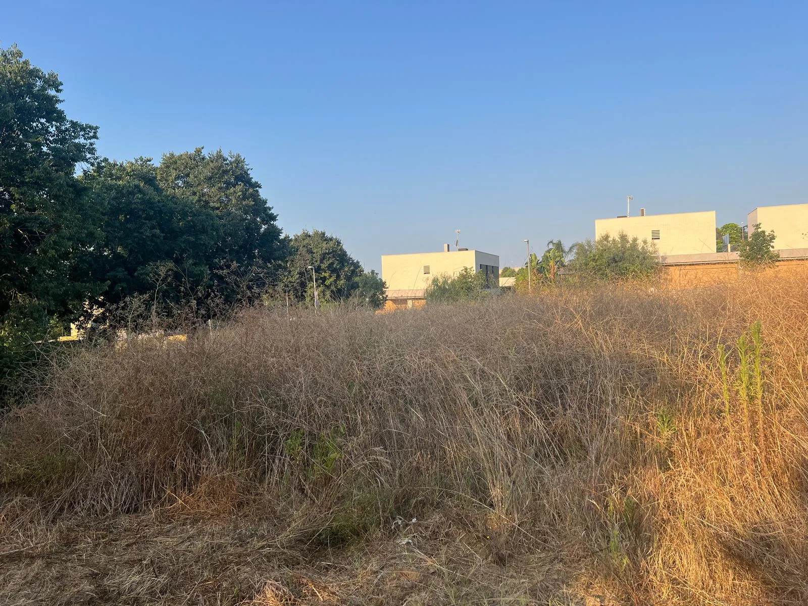 Parcel·la a Mataró amb herba alta i vegetació seca abans de l'inici dels treballs de desbrossament.