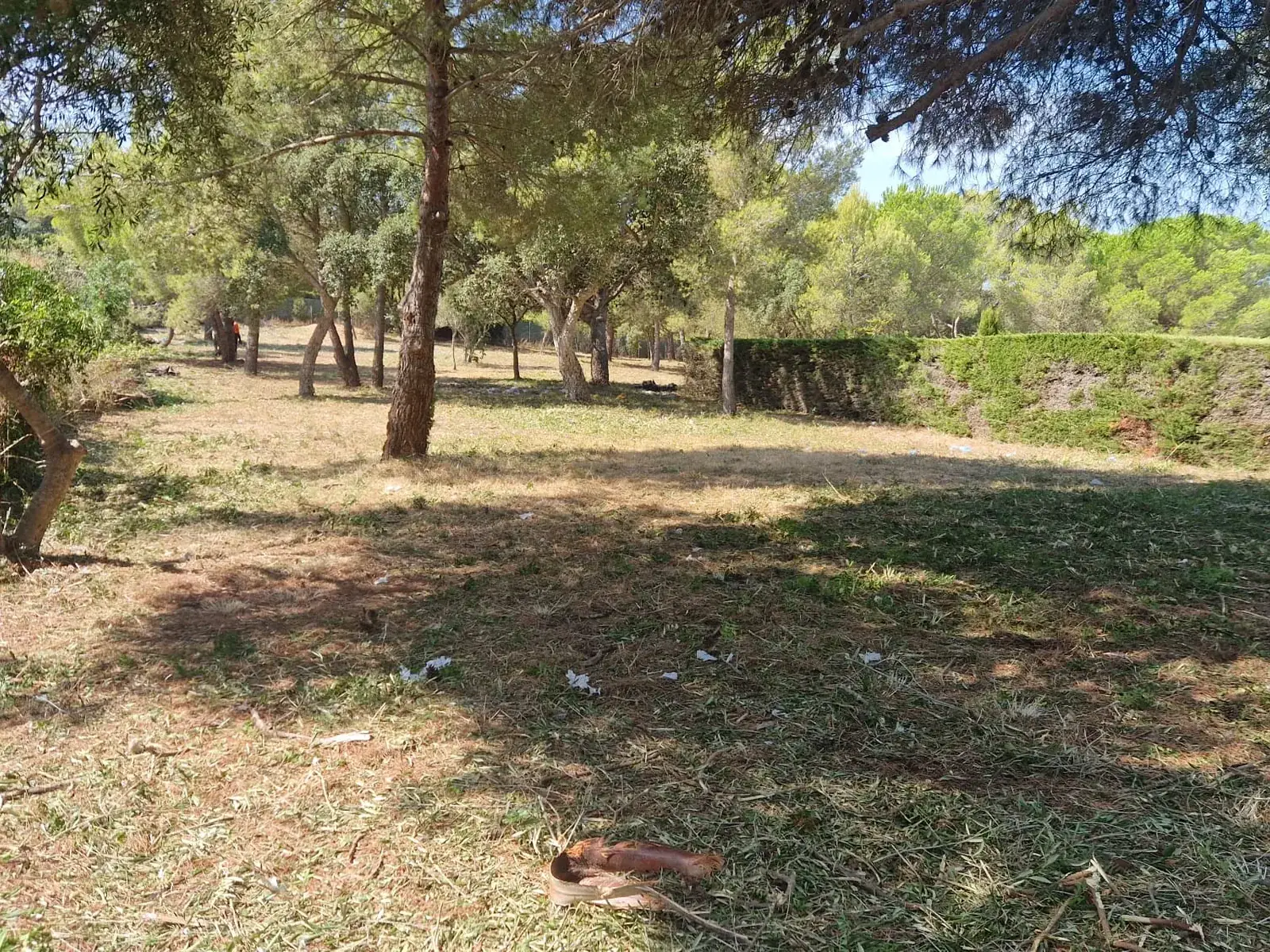 Perímetro desbrozado con el seto visible en una finca de Sant Joan de Palamós