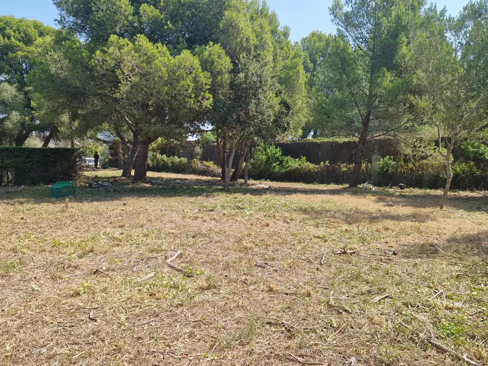 Vista general de una parcela limpia en Sant Joan de Palamós tras el desbroce profesional