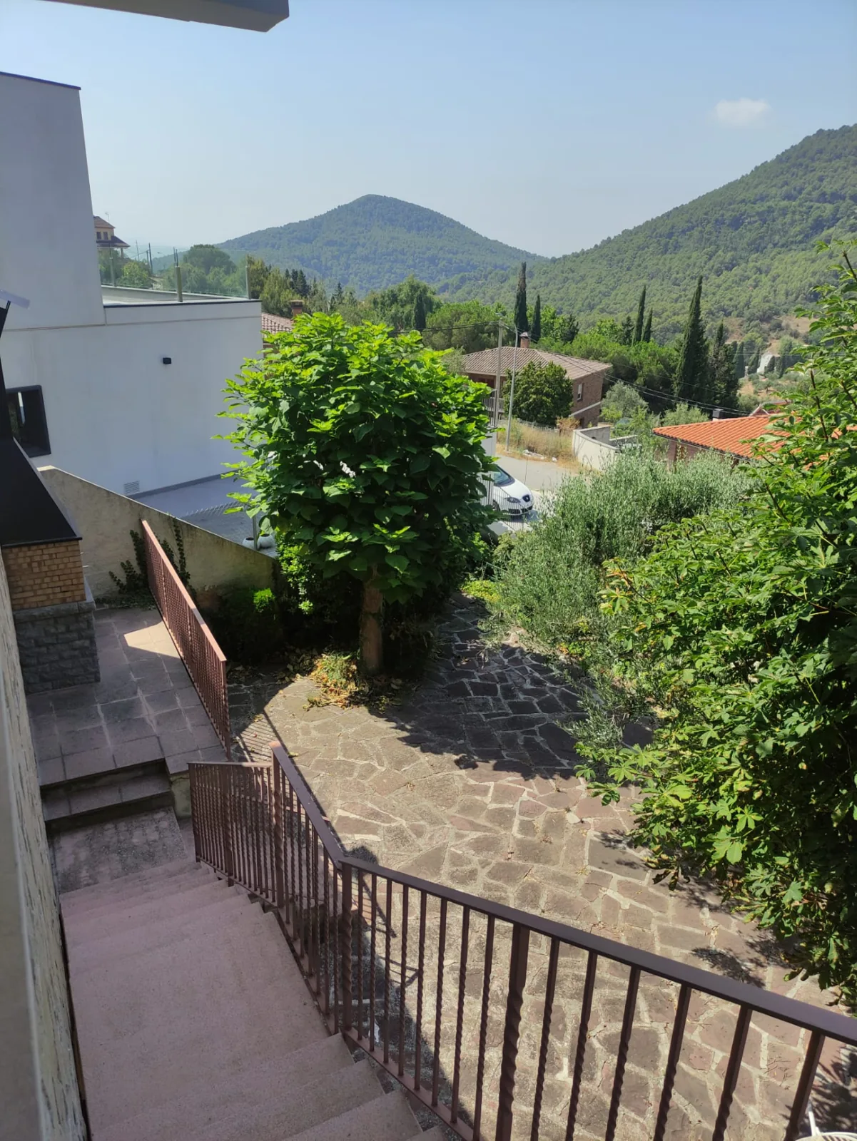 Jardín particular en Sant Feliu de Codines con árboles sin podar antes de la intervención