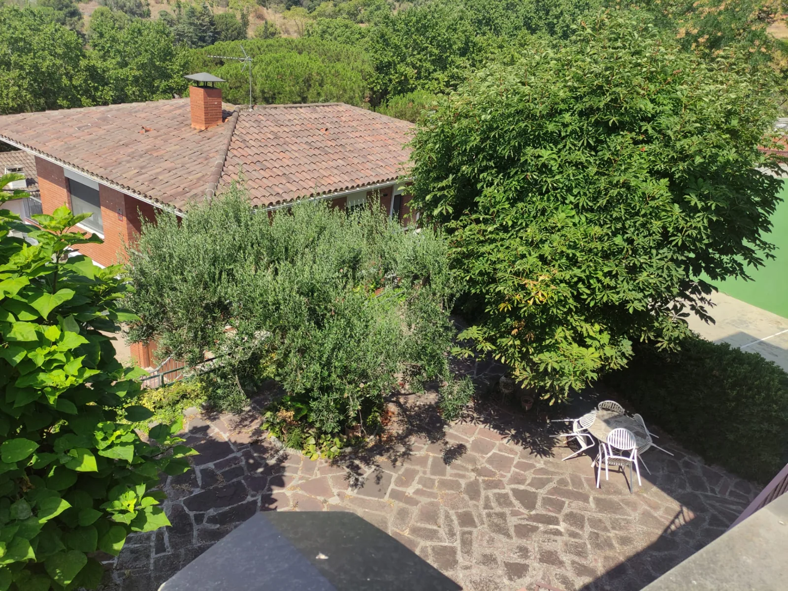 Vista aérea del jardín de Sant Feliu de Codines con vegetación densa antes de la poda