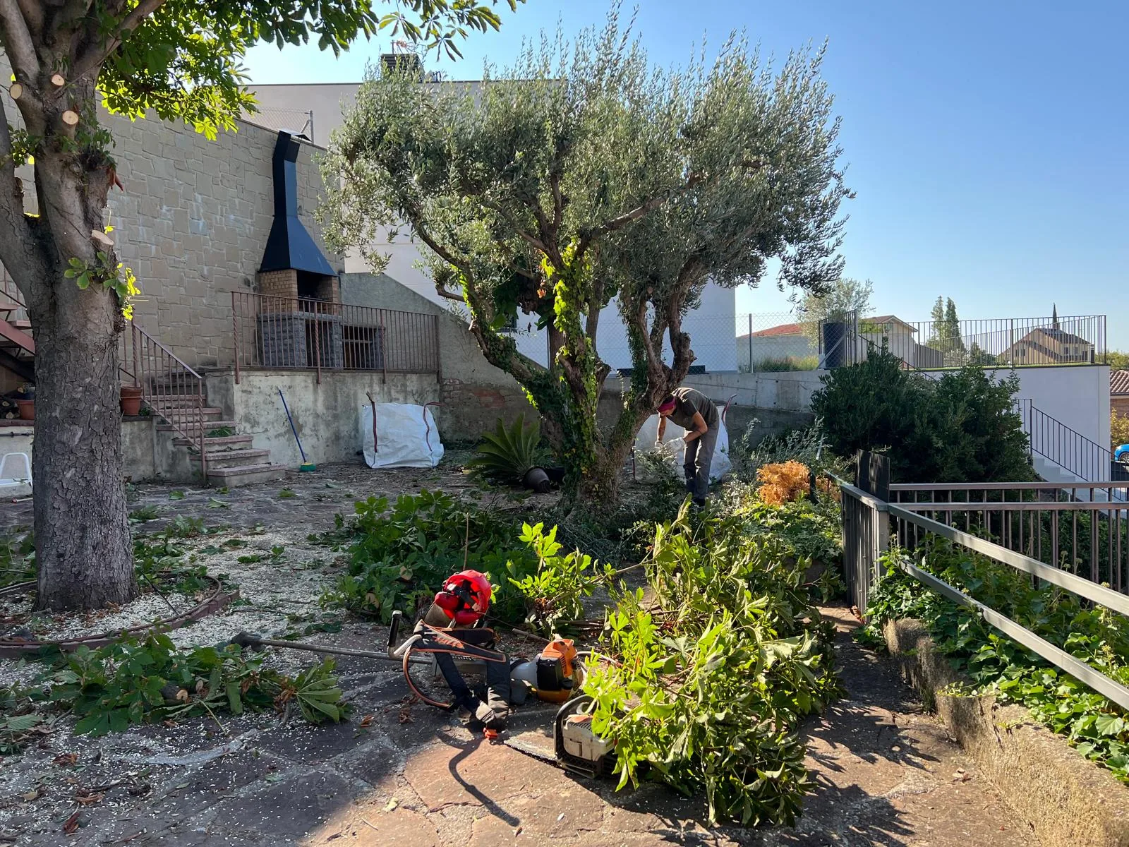 Operario podando un olivo y retirando restos vegetales en un jardín de Sant Feliu de Codines