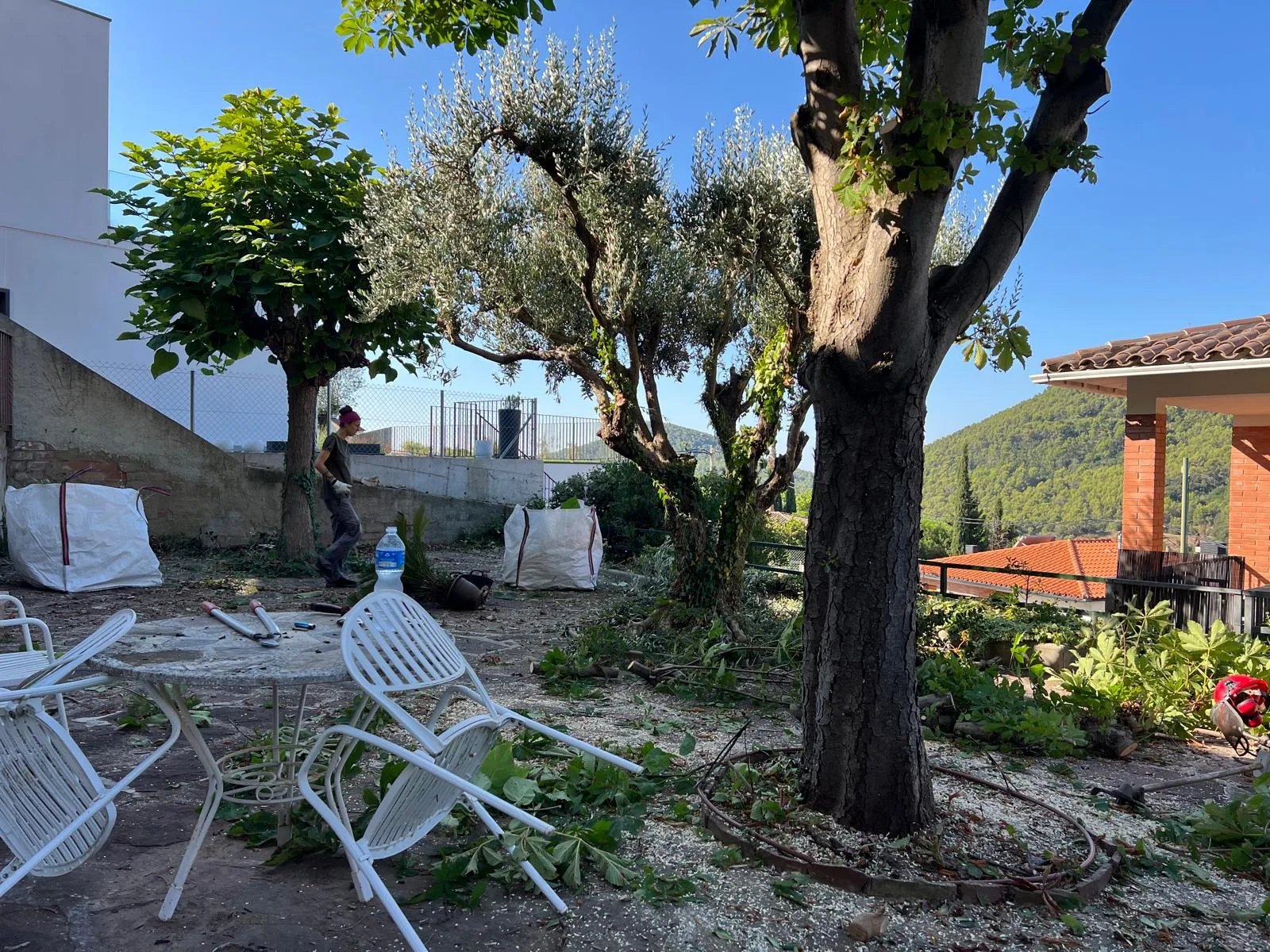 Limpieza de restos vegetales y poda en la terraza de un jardín de Sant Feliu de Codines