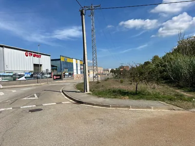 Accesos a las naves y vegetación del perímetro del polígono en Sant Celoni