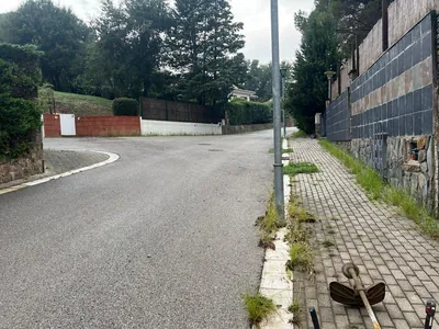 Hierbas en las juntas de la acera y junto al muro en Can Sans en Sant Celoni