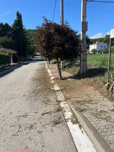 Restos vegetales y margen de una acera de Can Sans en Sant Celoni