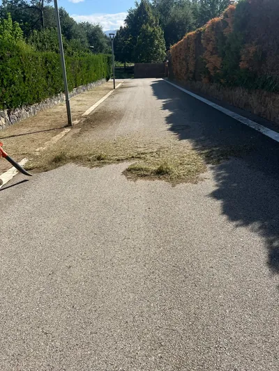 Restos de corte sobre la calzada durante la limpieza con soplador en Can Sans en Sant Celoni