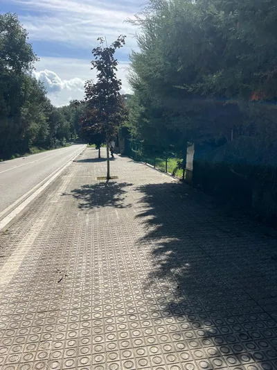 Acera arbolada junto a las vallas de las viviendas de Can Sans en Sant Celoni