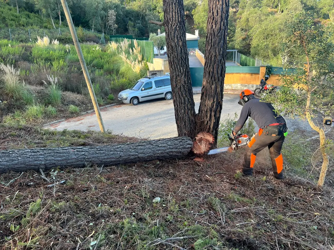 Tall d'un arbre amb motoserra a la parcel·la de Lloret de Mar