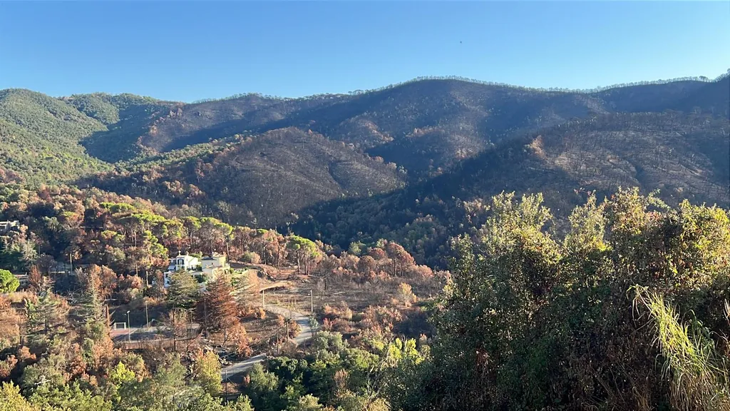 Paisaje alrededor de la urbanización con masas forestales afectadas por el incendio de 2026; imagen de contexto, no de la superficie limpiada.