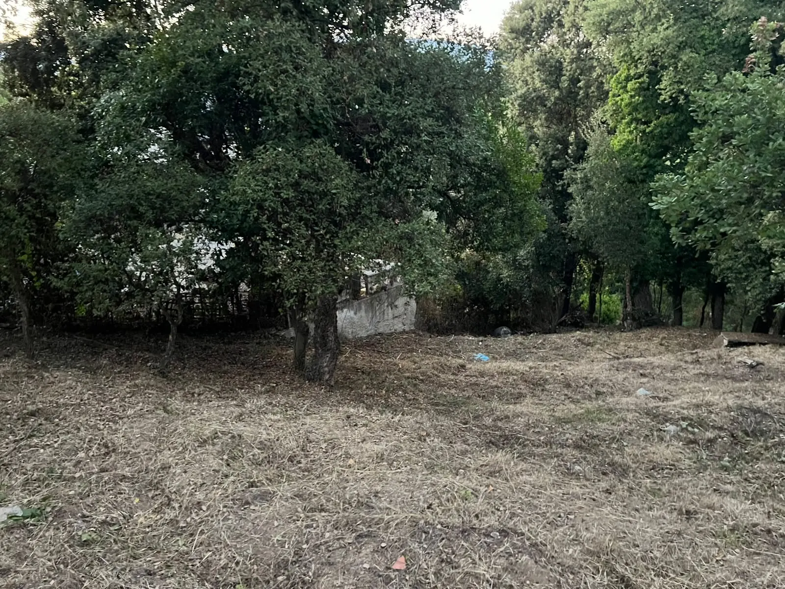 Terreno limpio después del desbroce de una parcela en Vallgorguina
